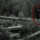 Illustration for article titled Slender Man Doesn't Have the Range
